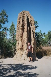 tony-cathedral-termites