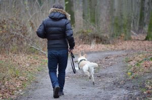 you time and nature are great for your work life balance