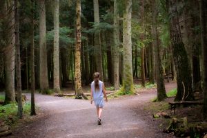When faced with alternative choices we must learn to trust our intuition