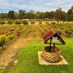 Hainault-at-Carmel-Winery
